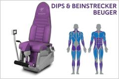 DIPS & TRAINING BEINSTRECKER / BEUGER  - primäre-, sekundäre Muskelaktivierung