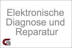 Elektronische Diagnose und Reparatur