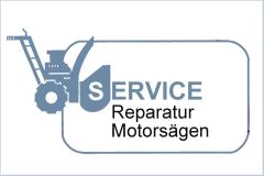 Reparatur von Motorsägen