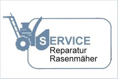 Reparatur von Rasenmäher